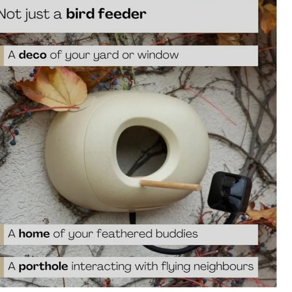 NIB Window Bird Feeder